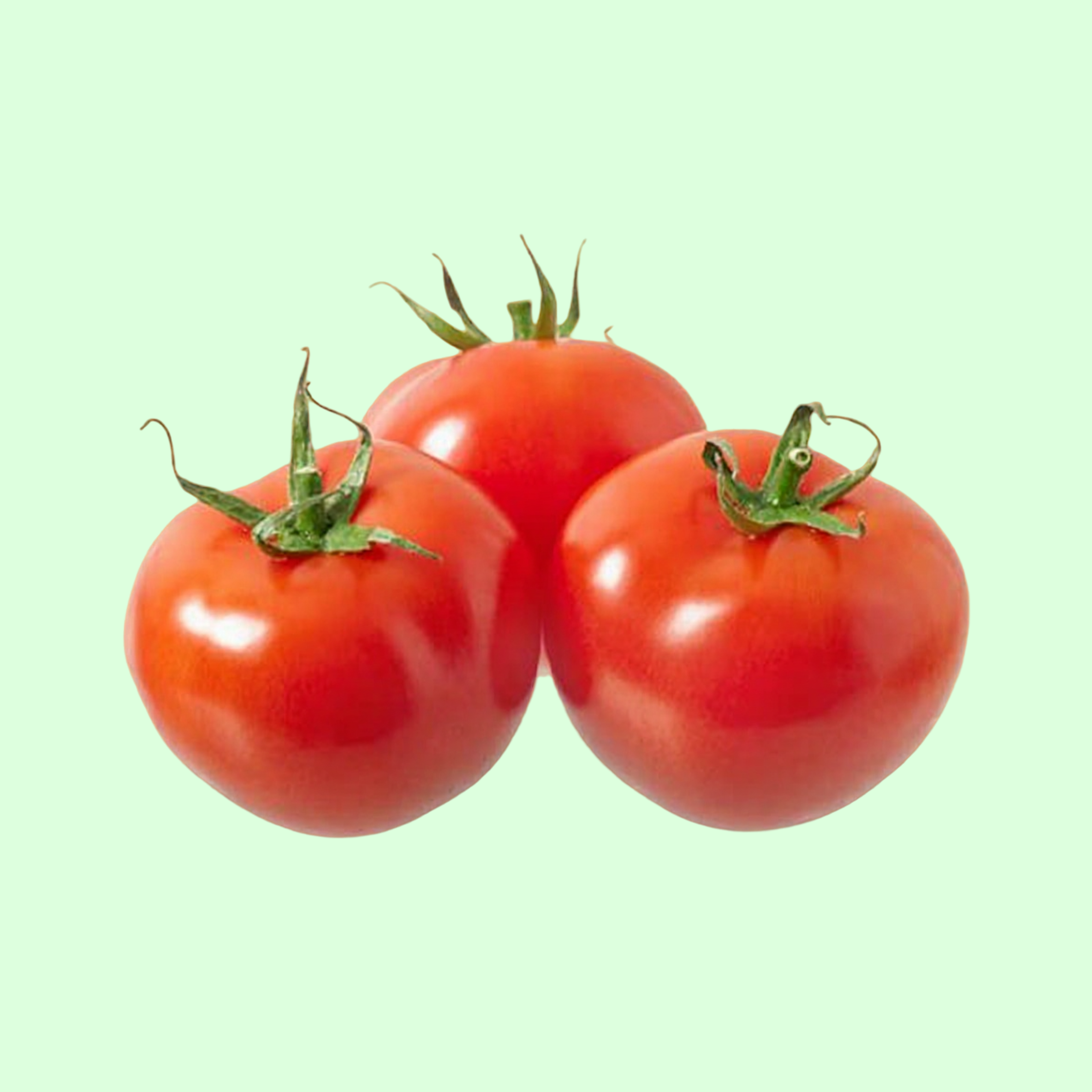 Tomates